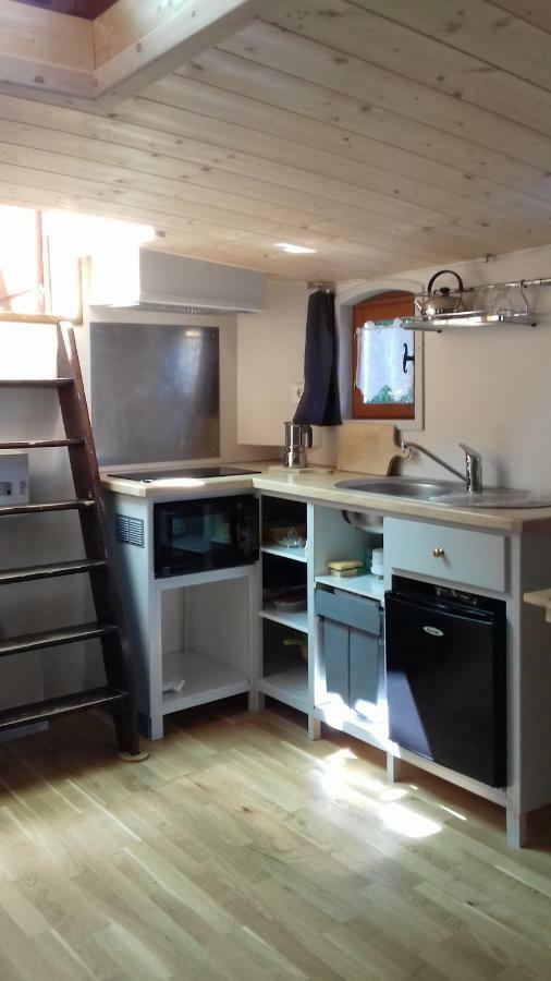 Studio Sur Peniche La Tortue Ramonville-Saint-Agne Luaran gambar